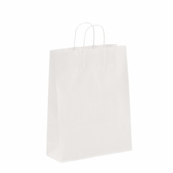 250 Papiertaschen Tragetasche weiß 90g/qm 22+10x31cm unbedruckt mit Papierkordel 