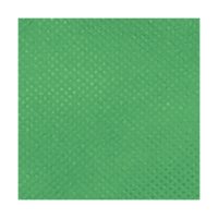 Non-Woven Tasche im Format 22x26 cm - grün - Zoomansicht
